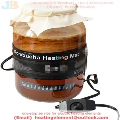 Timfhilleadh Teasa Kombucha